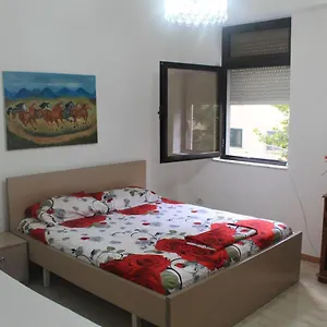 Auberge de jeunesse All Stars In, Tirana